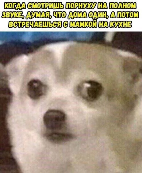 Нестандартный юмор #490 Нестандартный юмор #490