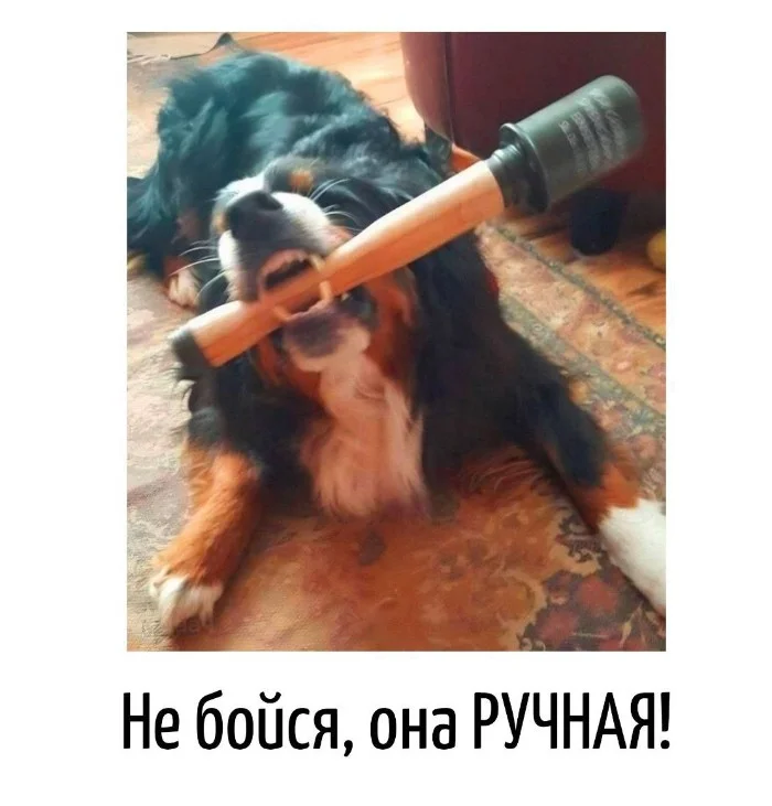 Игра слов – каламбуры, словесный юмор и прикольные картинки #115 Игра слов – каламбуры, словесный юмор и прикольные картинки #115