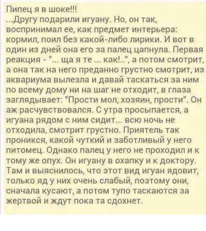 Нестандартный юмор #465