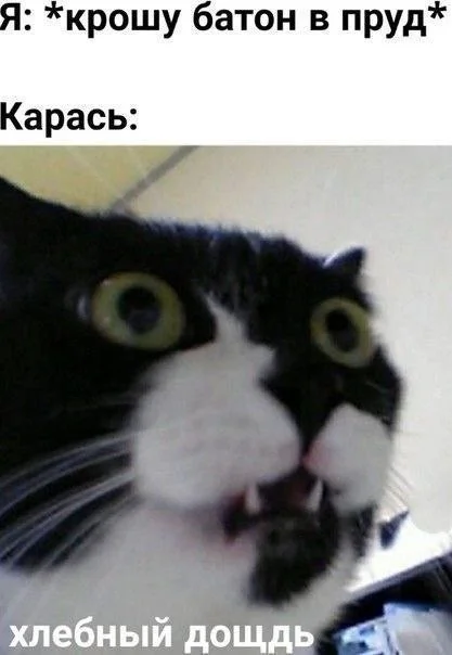 Странные картинки