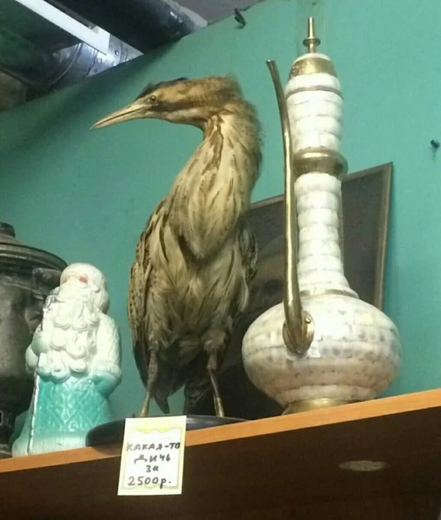 Мемные мемы