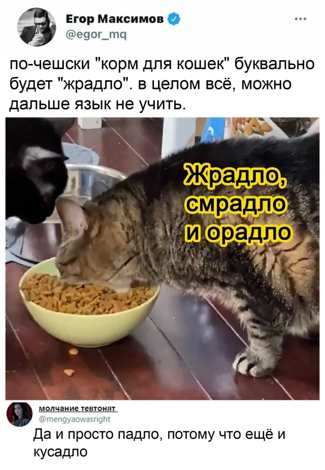 А вот и свежие мемы