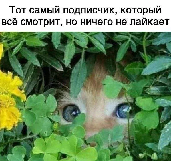 Смешные скрины из соцсетей #109 Смешные скрины из соцсетей #109