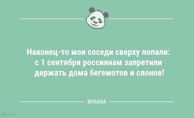 Шутки и анекдоты для всех: &laquo;Люблю такие понедельники&hellip;&raquo; 