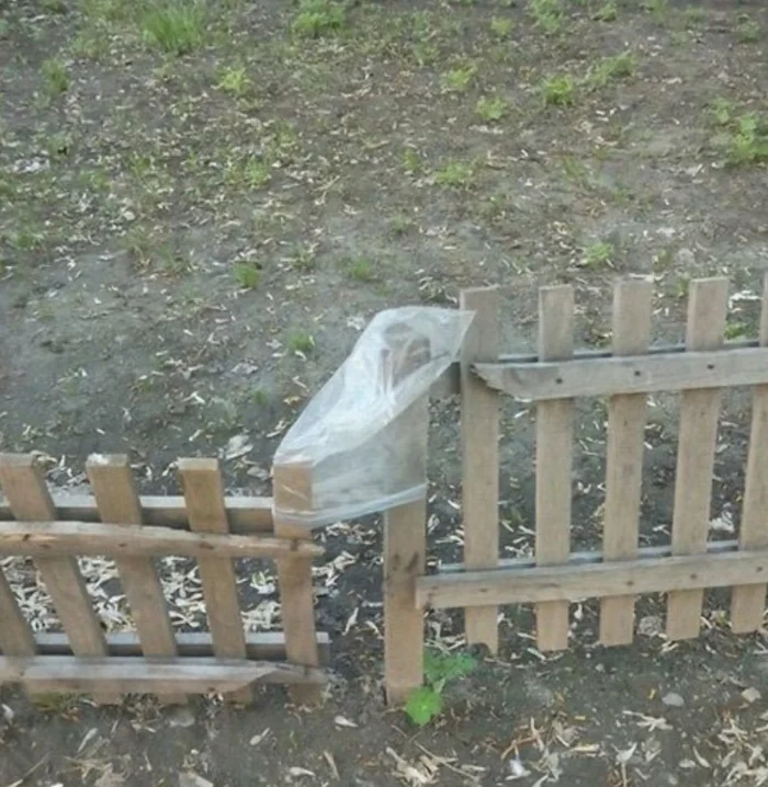 Лучшие примеры поговорки «Голь на выдумки хитра» в жизни Лучшие примеры поговорки «Голь на выдумки хитра» в жизни