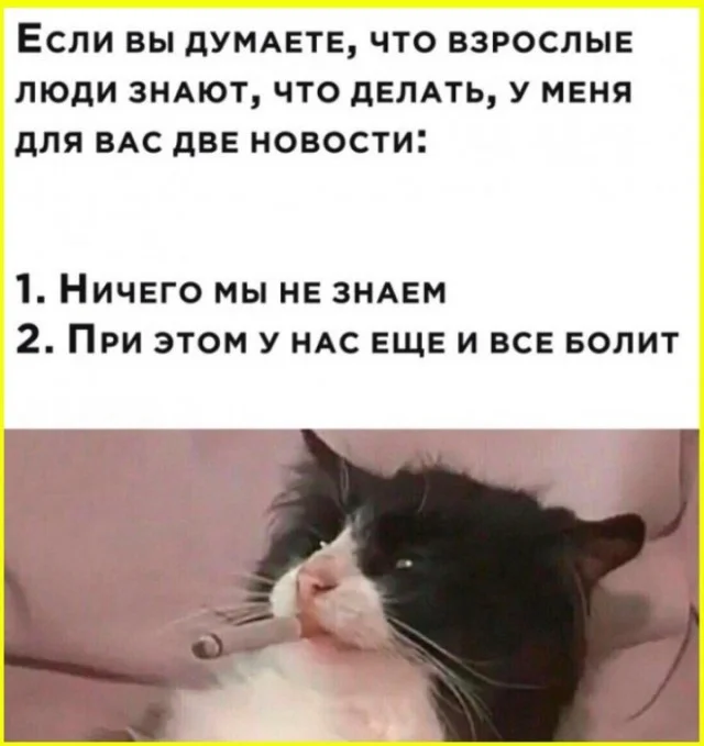 На каждый день