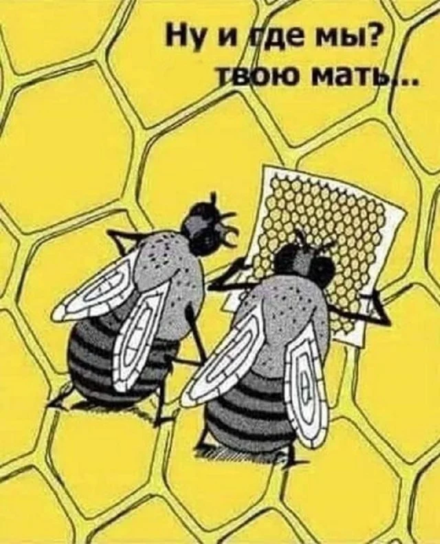 Классные приколы: свежо и смешно #2