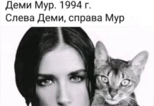 Смешные скрины из соцсетей #104