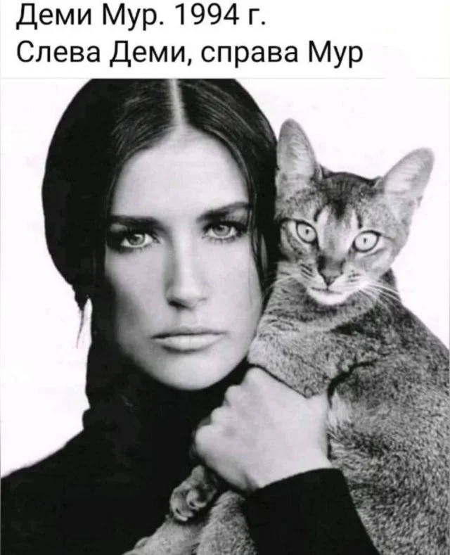 Смешные скрины из соцсетей #104 Смешные скрины из соцсетей #104