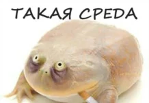 Смешные скрины из соцсетей #105