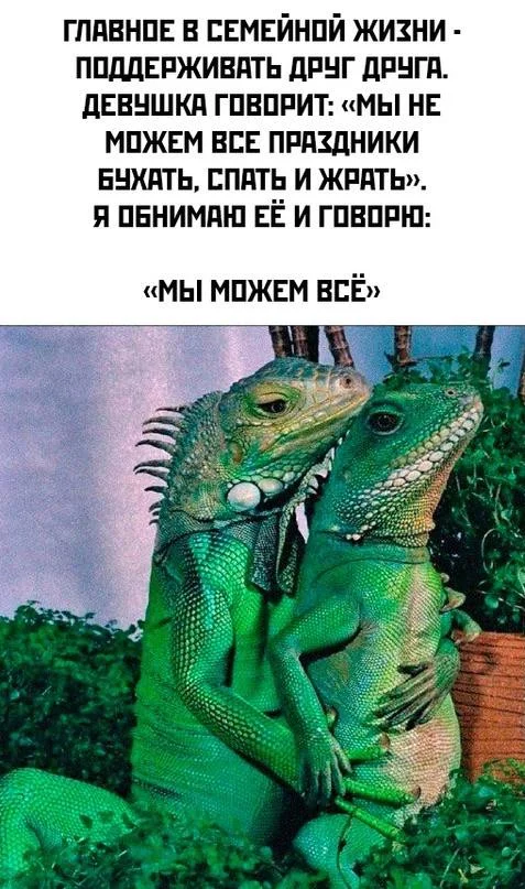 Картинки на для деградирования