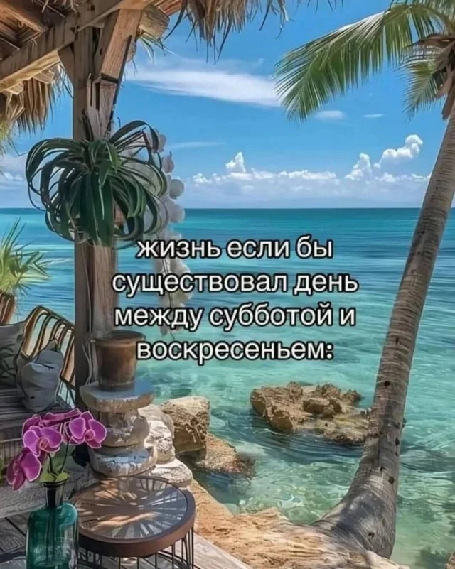 Мемы из дурки