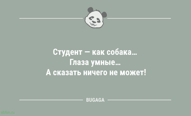 Свежих анекдотов пост: &laquo;В мире до сих пор нет ни одного&hellip;&raquo; 