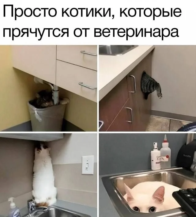 Смешные скрины из соцсетей #115 Смешные скрины из соцсетей #115