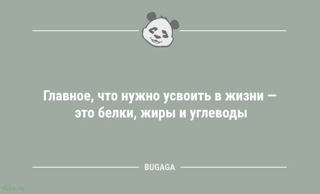 Свежий сборник анекдотов: «Главное, что нужно усвоить в жизни…» 