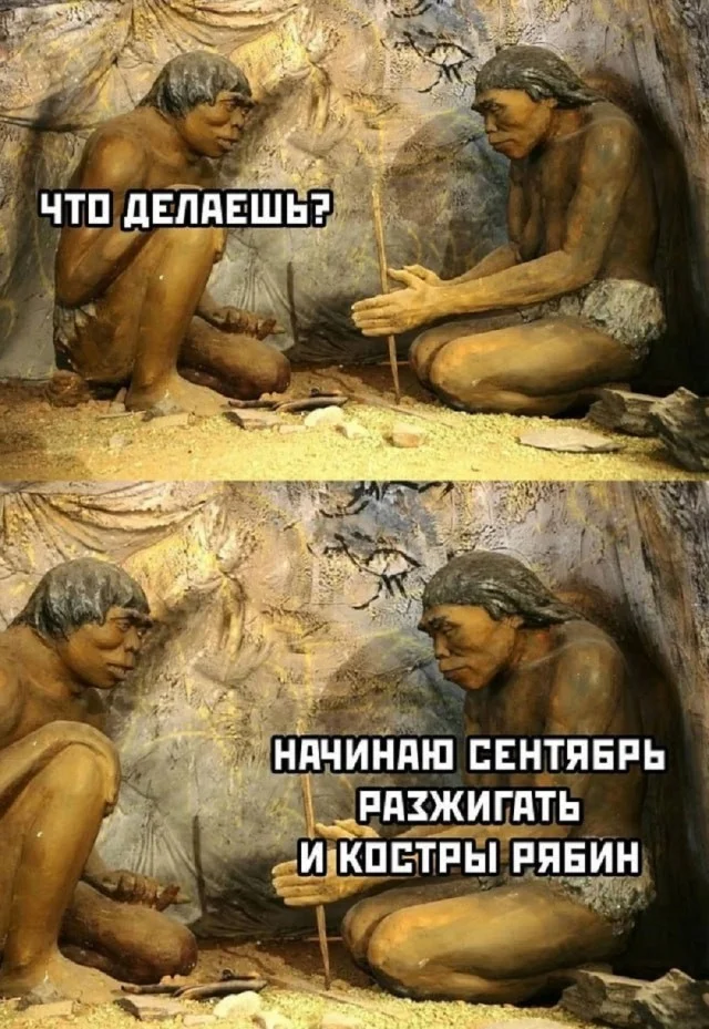 Чо, не смешно?! Смешно!