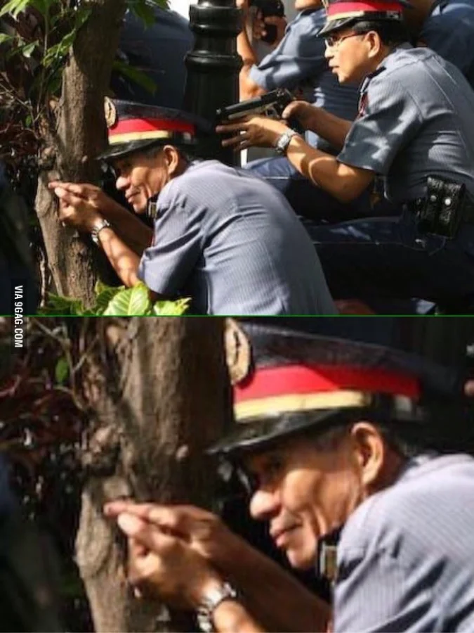 Фото вне здравого смысла: 20 примеров абсурда