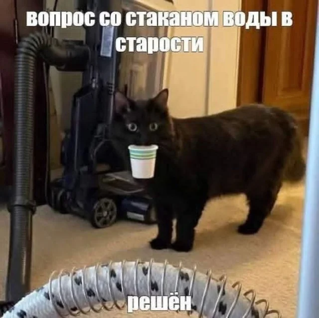 Очередная подборка мемов