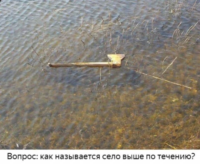 Деградируем с мемами