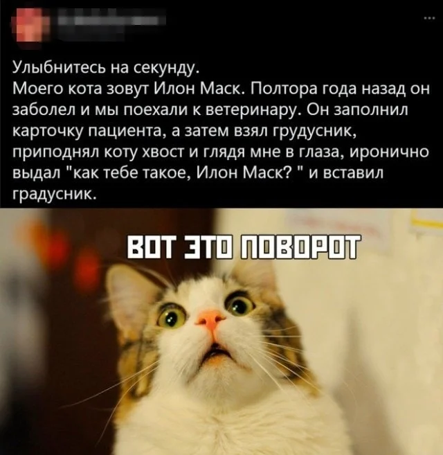 Деградируем с мемами