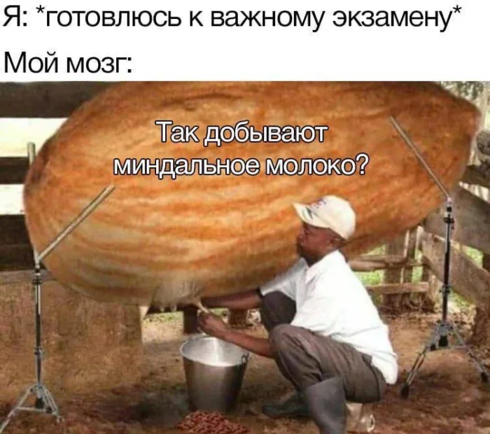 Нестандартный юмор #488 Нестандартный юмор #488