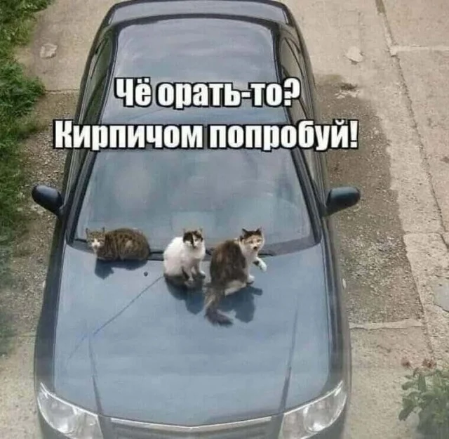 Картинки на каждый день