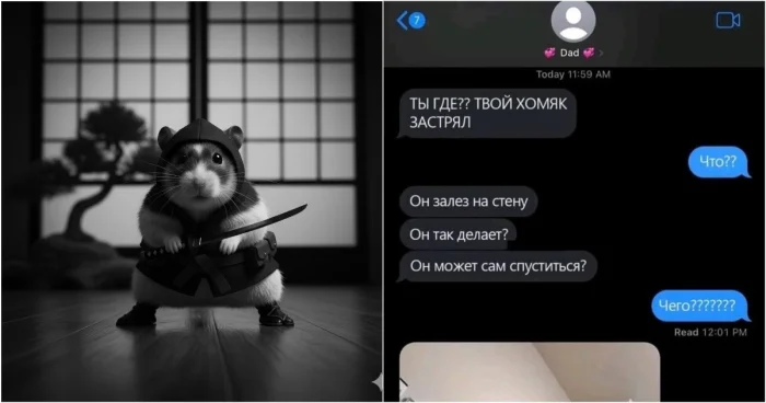 Хомяк-вдохновение: как быстро уйти от проблем Хомяк-вдохновение: как быстро уйти от проблем