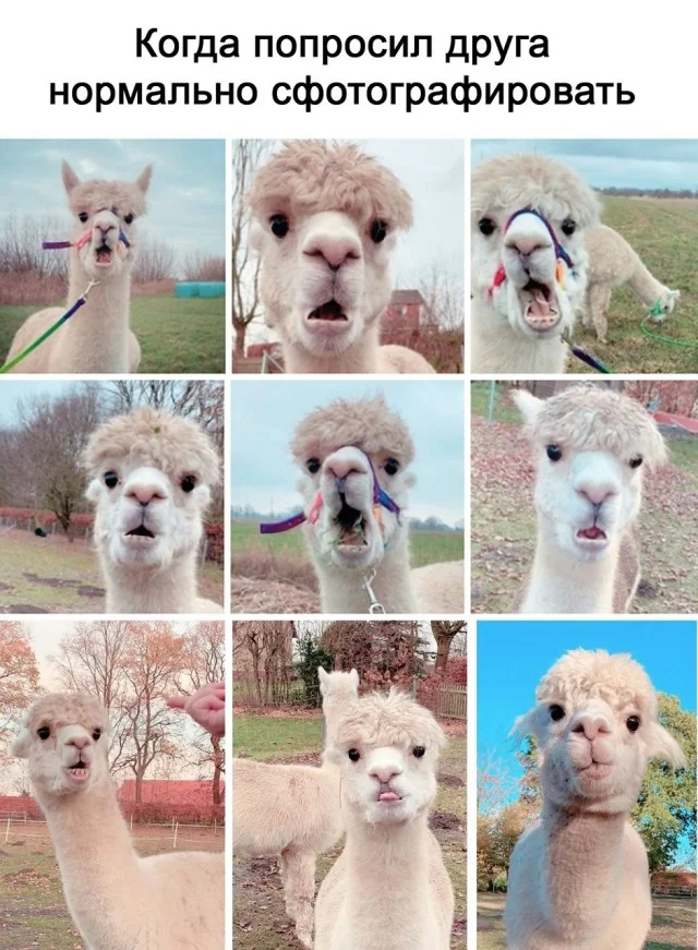 А вот и свежие мемы