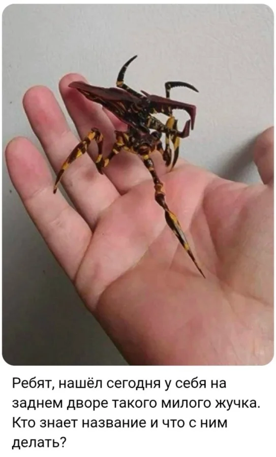 Осенняя коллекция кино-мемов Осенняя коллекция кино-мемов