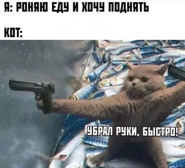 Картинки на для деградирования