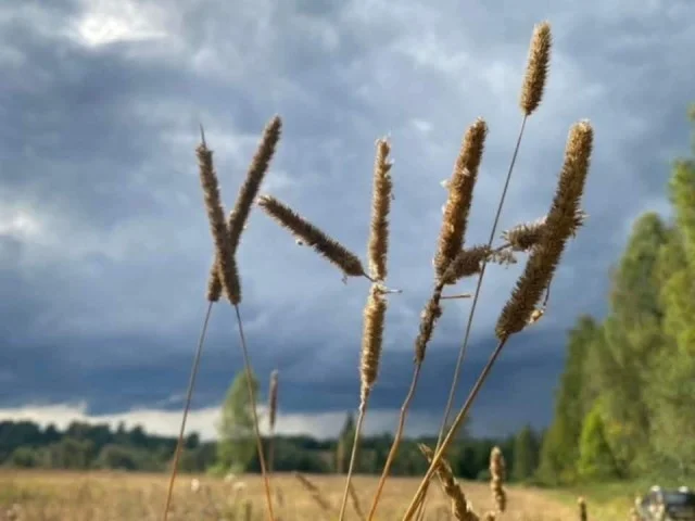Очередная подборка мемов