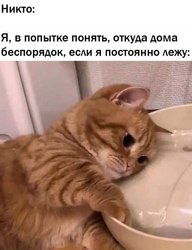 Смешные скрины из соцсетей #108 Смешные скрины из соцсетей #108