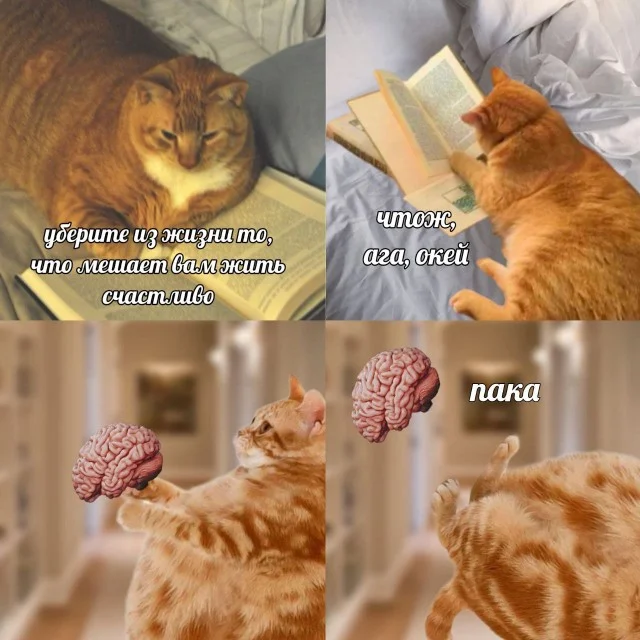 Картинки на для деградирования