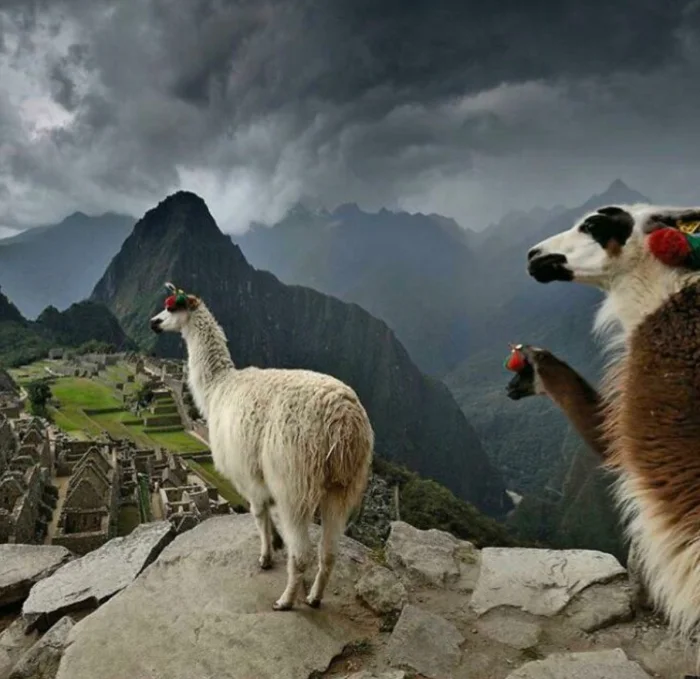 Оптические иллюзии на фото: 16 кадров, что легко запутают Оптические иллюзии на фото: 16 кадров, что легко запутают