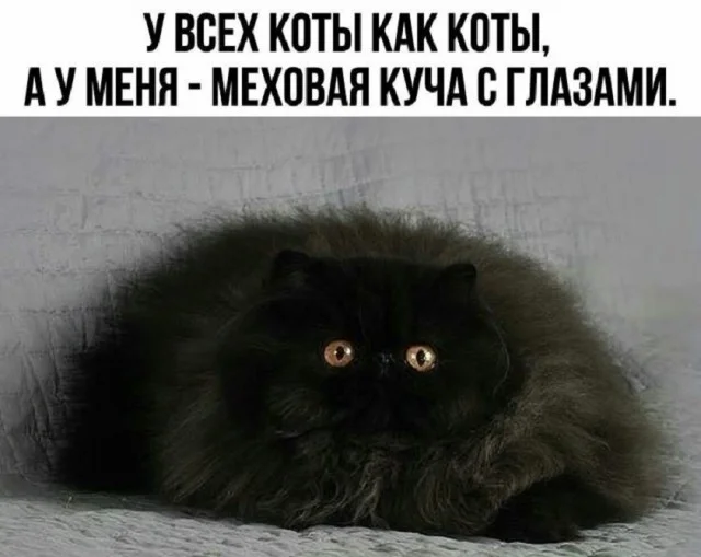 Реальная ржака: Прикольные картинки