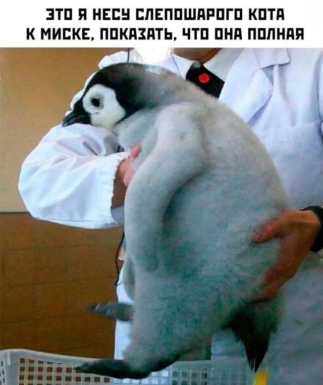 Смешные скрины из соцсетей #111