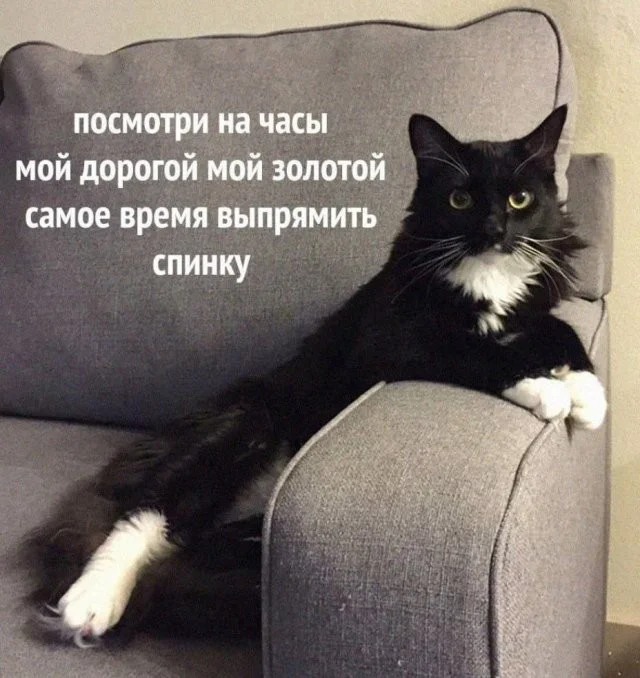 Смешные скрины из соцсетей #108 Смешные скрины из соцсетей #108