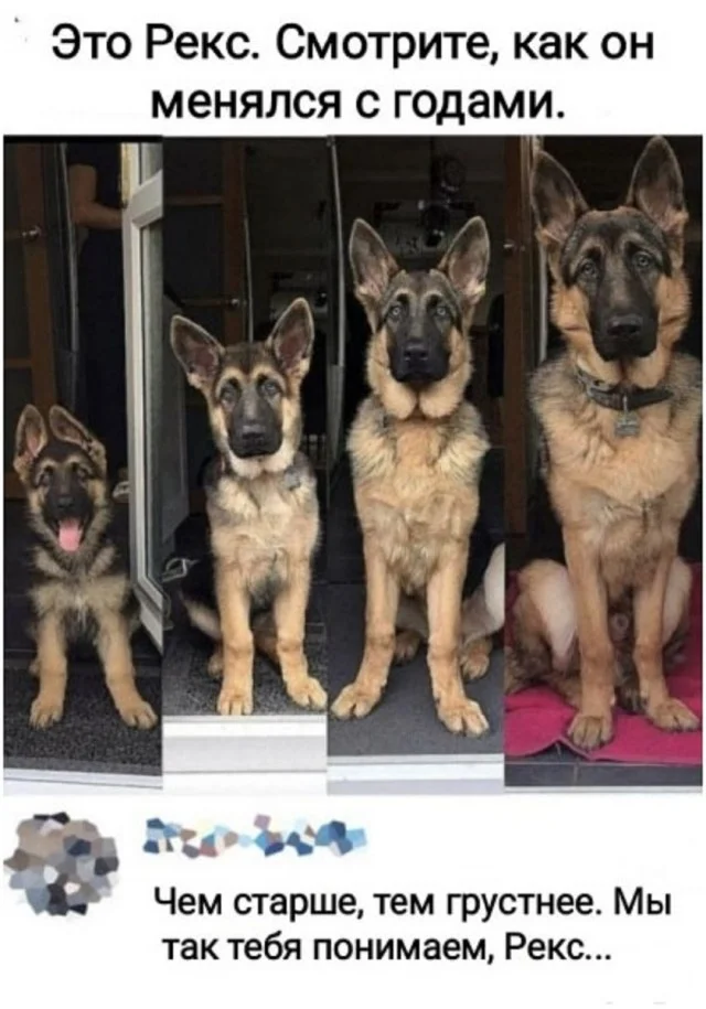 Классные приколы: свежо и смешно #2