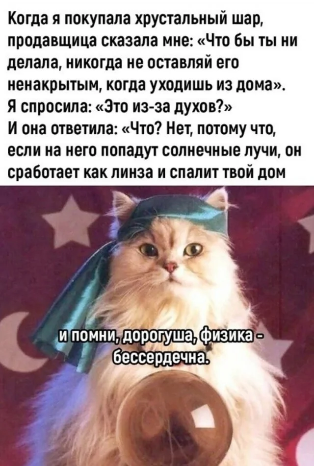 Мемные деградашки