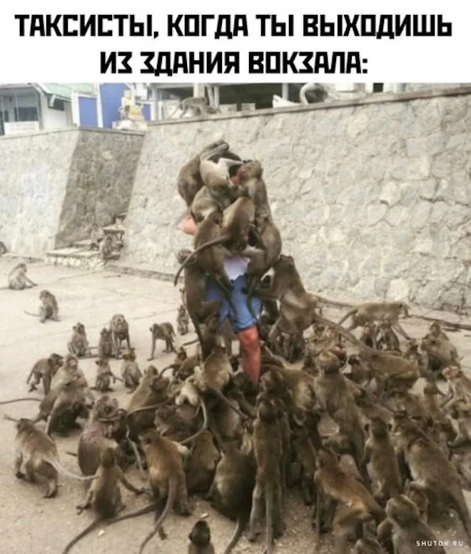 Нестандартный юмор #478