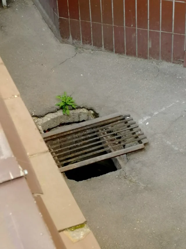 Рукожопы в наличии