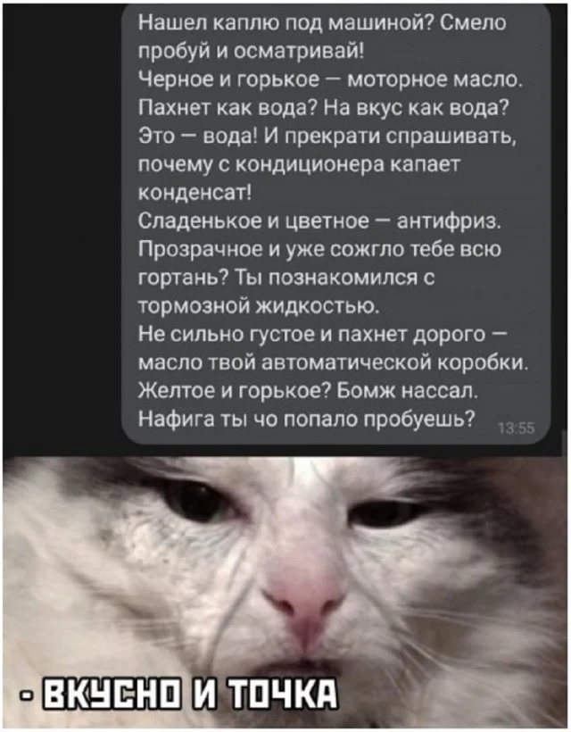 Классные приколы: свежо и смешно #4