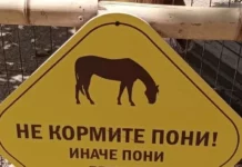 Таблички в зоопарке