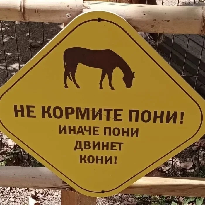 Таблички в зоопарке