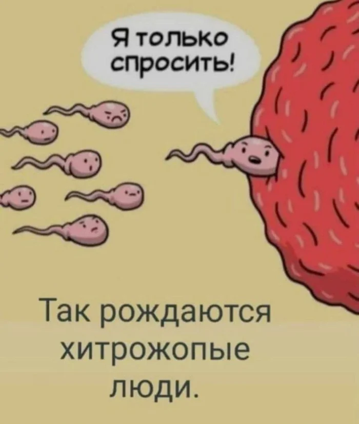 Нестандартный юмор #477