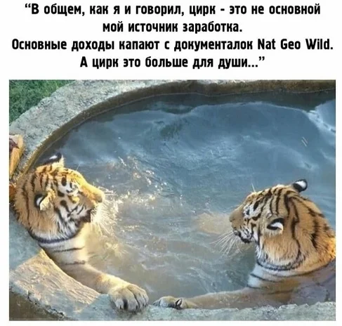 Мемы на каждый день #2