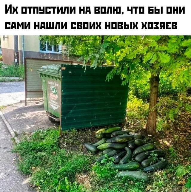 Классные приколы