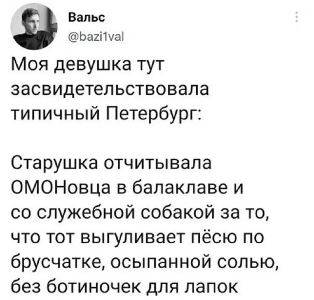 Свежо и хорошо: Приколы