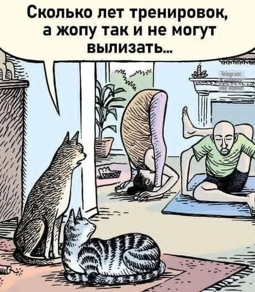 Крутые мемы