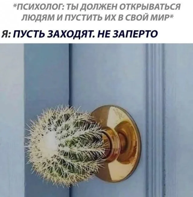 Очередная подборка мемов